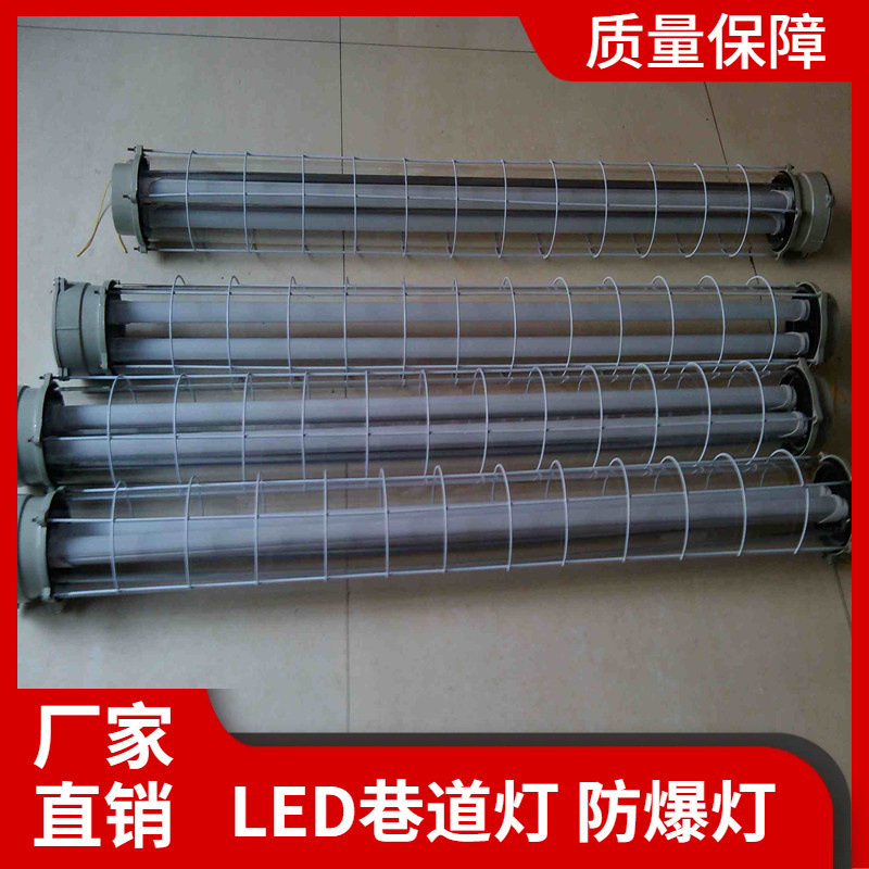 矿用巷道灯DGS24/127L隔爆型LED巷道灯 煤矿照明灯 24W长型圆型方型巷道灯