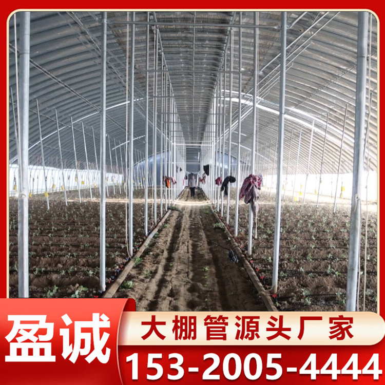 应用于花卉西瓜插地棚 遮阳插地连体 玻璃大棚 抗风雪性能强