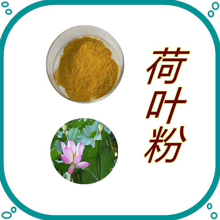荷叶粉  粉末流动性好   全水溶   质量稳定  植物原料    食品级   可寄样