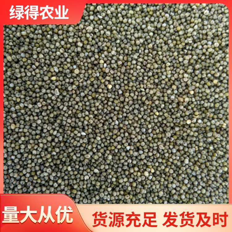 绿小米厂家采购