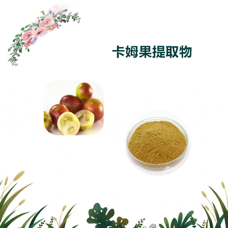 沃特莱斯生物 卡姆果提取物 卡姆果速溶粉 厂家直供 现货供应