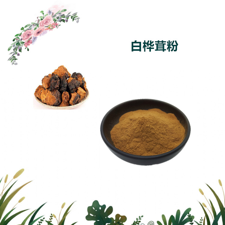 沃特莱斯生物 白桦茸提取物 白桦茸多糖 水溶性好 1公斤起订