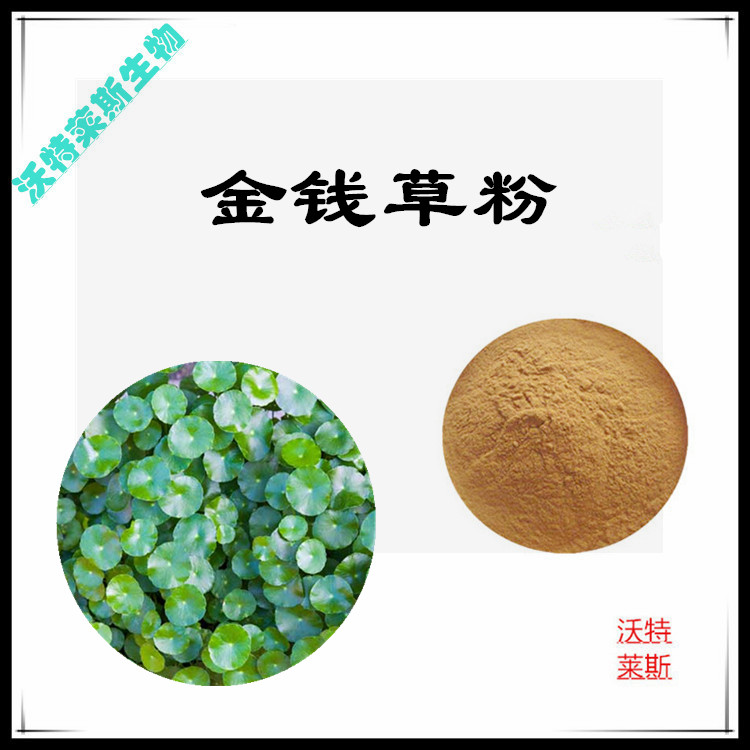 筋骨草提取物 10:1 水提 沃特莱斯生物 筋骨草浸膏