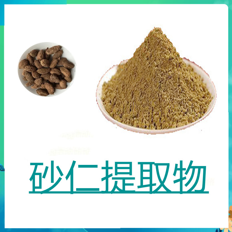 砂仁提取物    粉末细腻   固体饮料   食品级   无杂质   含税运