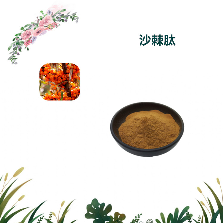 沃特莱斯生物 沙棘多肽 水溶性粉末 喷雾干燥粉 1公斤起订