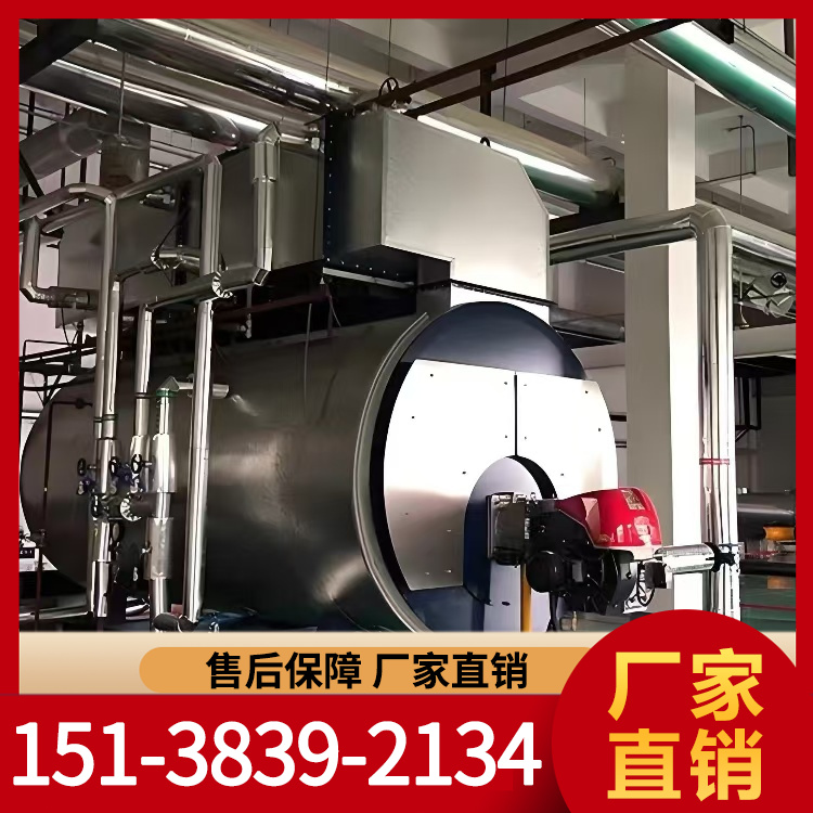 蒸汽锅炉 燃气锅炉 厂家现货销售 力能锅炉 批发充足货源