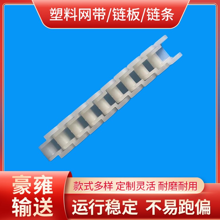 工厂现货RS60P塑料链条 RS60PVDF塑料板链POM链条 链条输送链