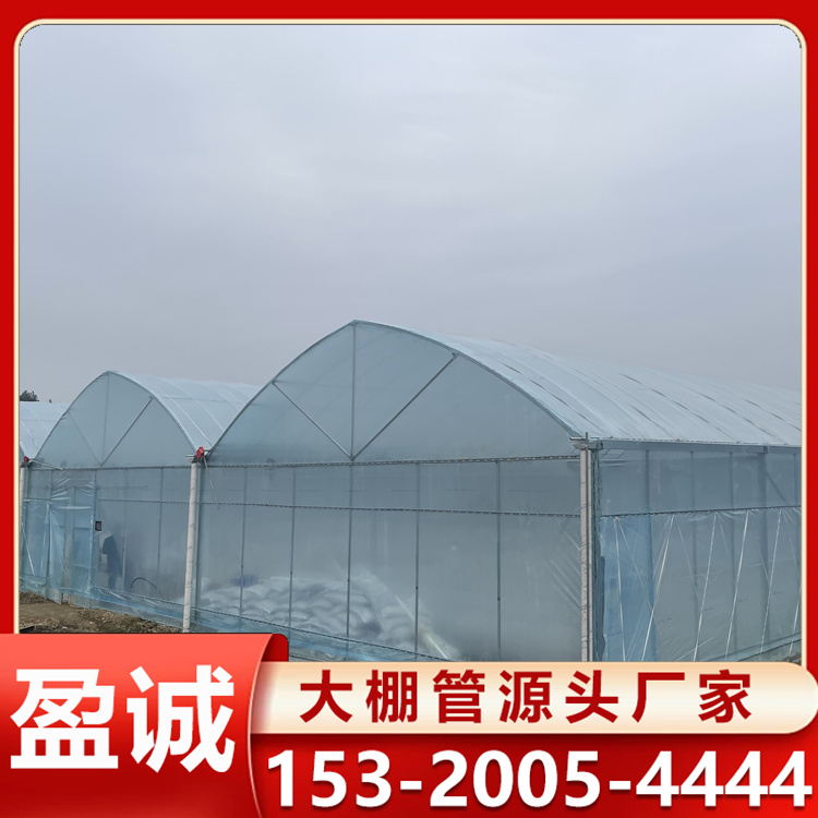 薄膜连栋大棚 蔬菜温室大棚 农业智能玻璃大棚 大棚材料定制加工