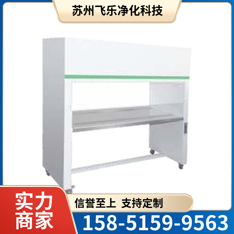 医用型双人超净工作台 超净工作台 飞乐