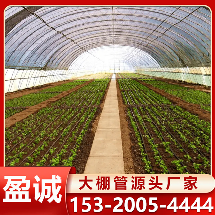 椭圆管蔬菜大棚 樱桃西瓜种植棚 造价低回本快 支持加工定制