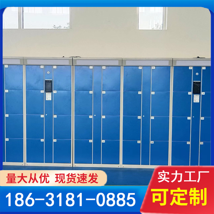 电子存包柜 商场共享储物柜 储物插电即用