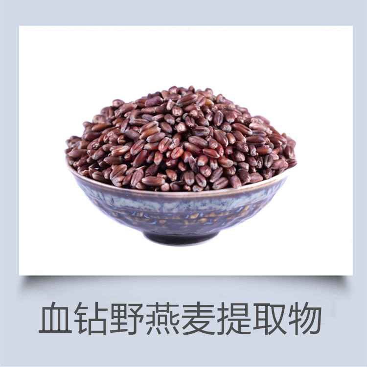 血钻野燕麦粉 富硒燕麦粉 小麦胚芽粉 水溶性 提供小样