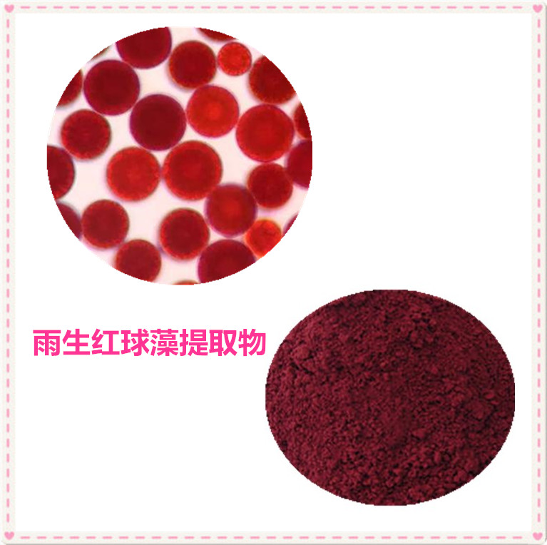 雨生红球藻粉 98% 虾青素 1% 2% 沃特莱斯生物