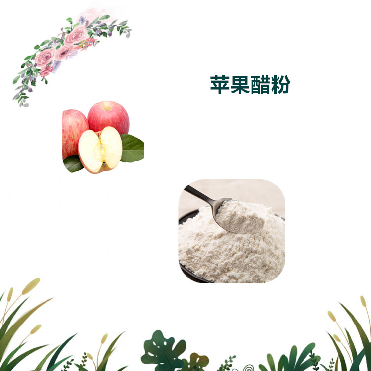 沃特莱斯生物 苹果醋粉 水溶性粉末 喷雾干燥粉 1公斤起订