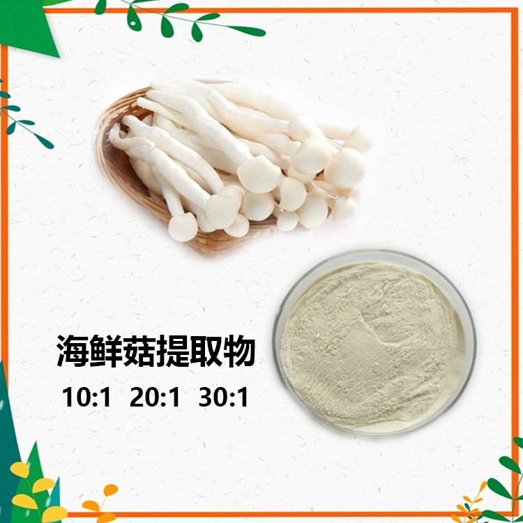 海鲜菇提取物 10:1 水提 多规格比例 海鲜菇多糖 30%