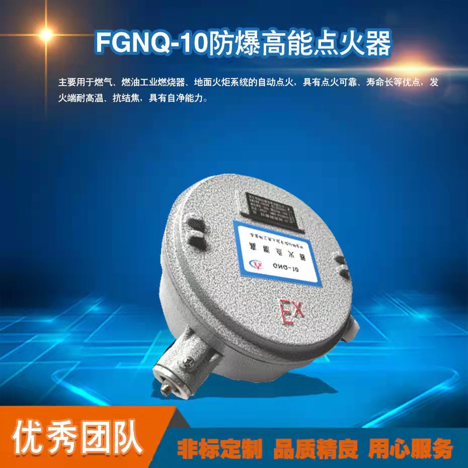 高能点火器 FGNQ-10防爆高能点火器