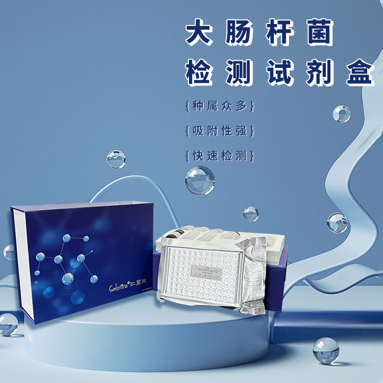 大肠杆菌 检测试剂盒 晶抗 厂家直销
