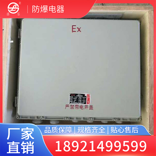 盛乐 防爆配电箱 非标定制 防腐耐磨