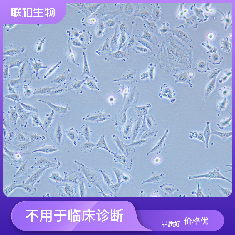 人牙髓干细胞多少钱