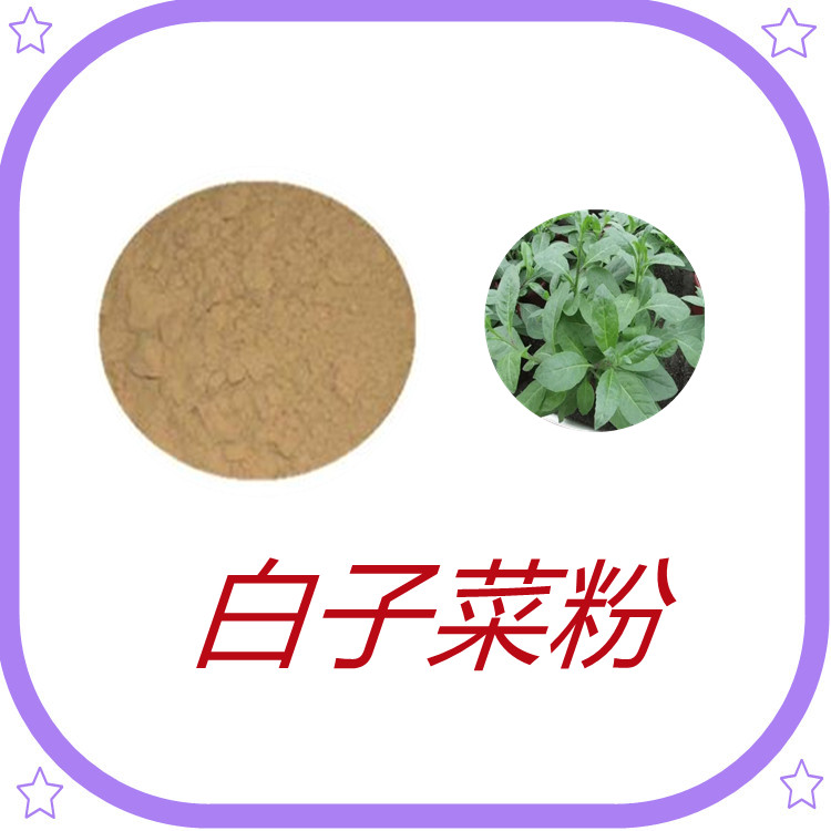 白子菜粉  含多种营养成分   三遍水提  质量稳定  固体饮料   植物原料