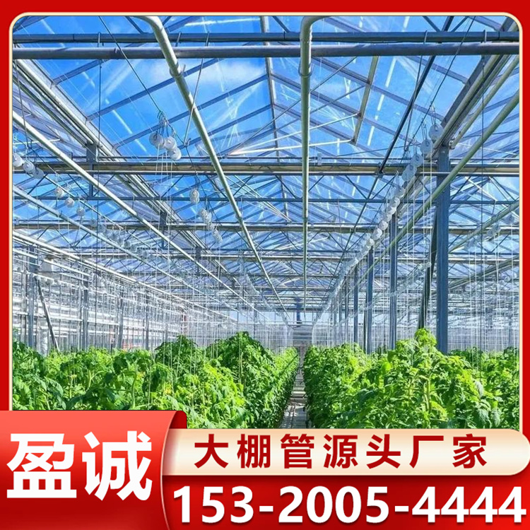 连栋智能温室大棚 美观实用外观新颖 大棚管批发 搭建工期短