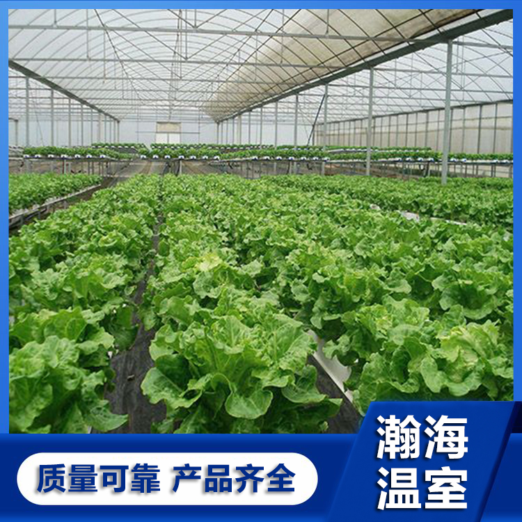 阳光大棚 阳光板温室 日光温室 山东瀚海温室