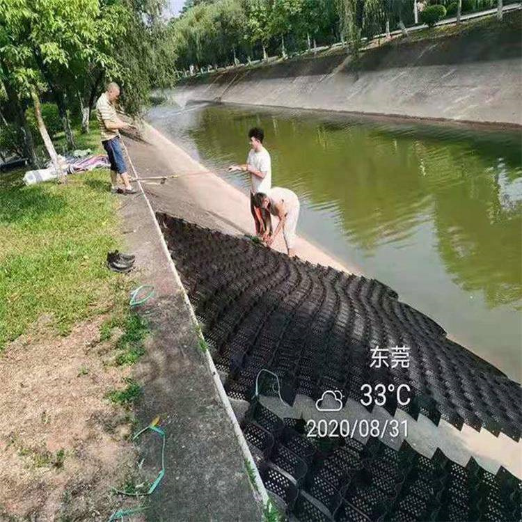 土工格室厂家边坡护坡用蜂巢约束土工格室植草护坡HDPE土工格室
