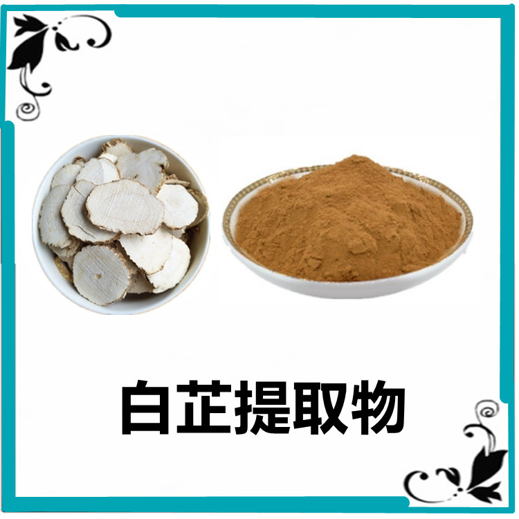 白芷提取物  10:1比例 水溶性好 食品级 三方检测 水提工艺 可试样