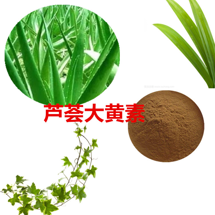 卢拉索芦荟粉 提取物 20:1 水提 库拉索芦荟凝胶