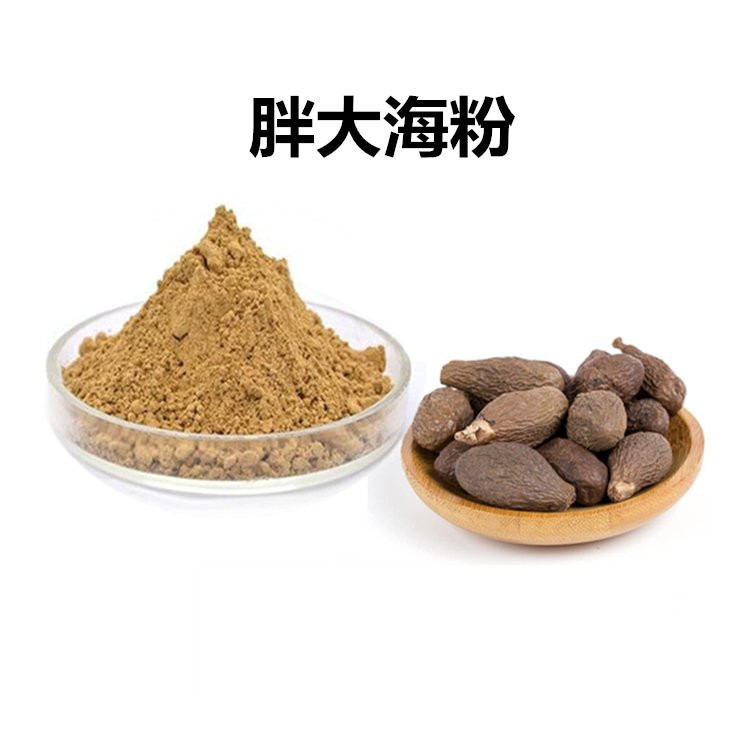 水溶胖大海粉 菊花粉提取多规格 喷雾干燥斯诺特生物