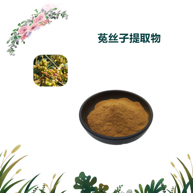沃特莱斯生物 菟丝子提取物 速溶粉 喷雾干燥粉 1公斤起订