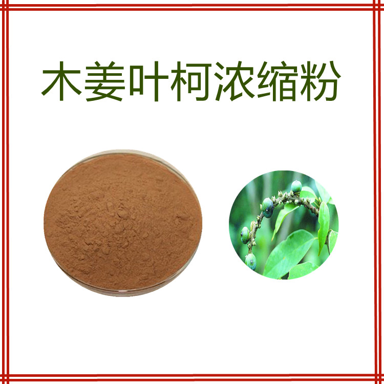 木姜叶柯浓缩粉   粉末细腻 流动性好   比例产品   国标生产  全水溶