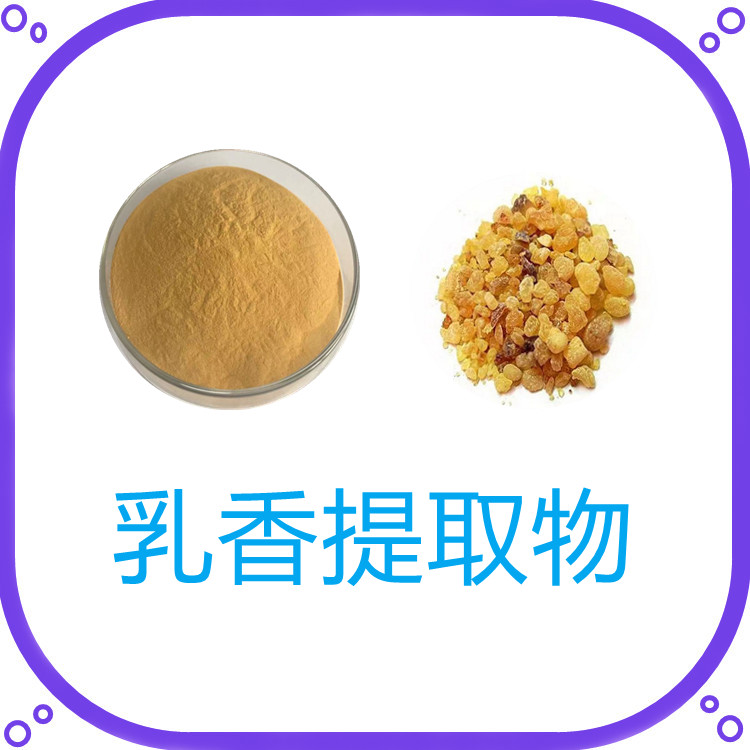 乳香提取物  粉末细腻   三遍水提  植物原料  固体饮料   比例产品