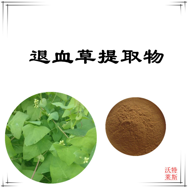 退血草提取物 10:1 水提 多规格比例 退血草浸膏 退血草浓缩粉