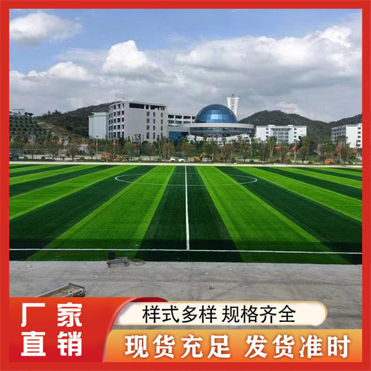 足球场草坪 源头生产厂家 锘隆体育设施