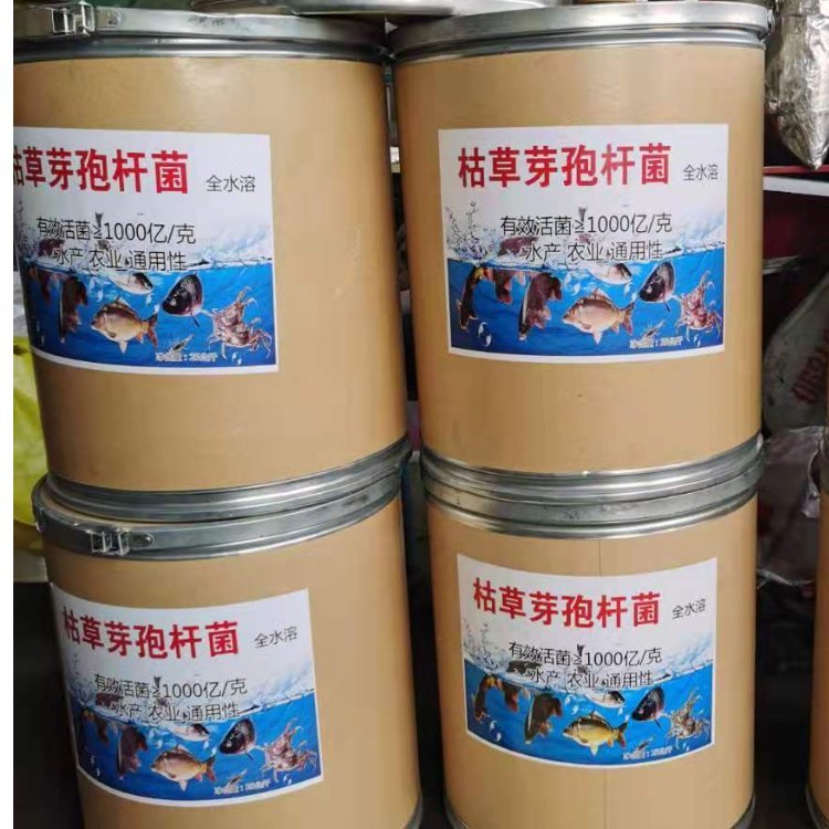 枯草芽孢杆菌 耐高温微生物菌剂 河道治理水产专用