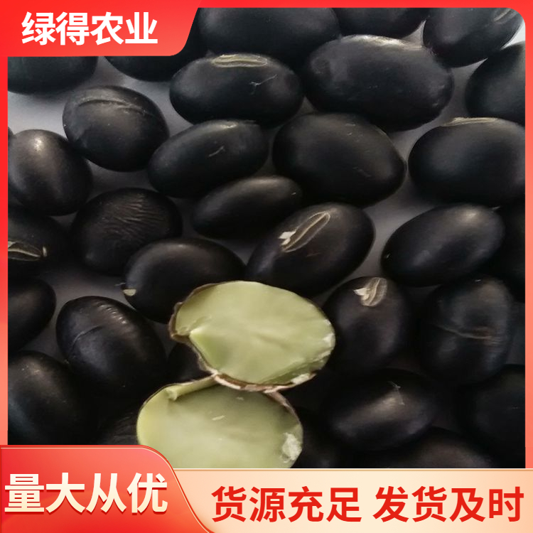 黑大豆种子服务电话