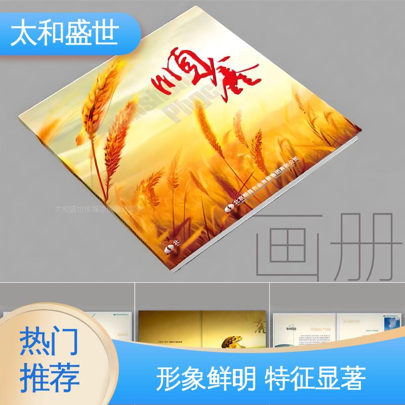 大型画册设计 大方美观 突出服务优势 太和盛世