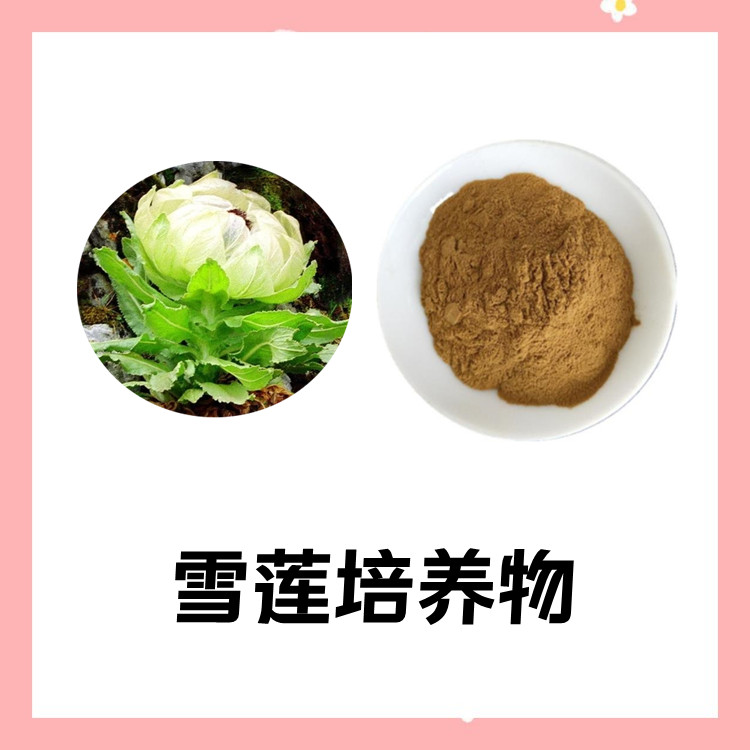 雪莲培养物  植物卒取工艺 粉末细腻 无杂质 水溶性好 过筛100目