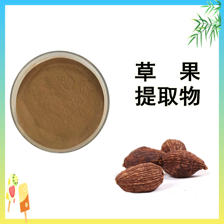 草果提取物  精选原料 质量保障 全水溶提供免费样品 多种规格