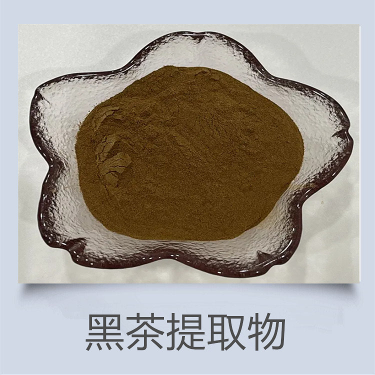 普洱茶粉 黑茶提取物 凉茶粉  巴拉圭茶提取物 马黛茶粉