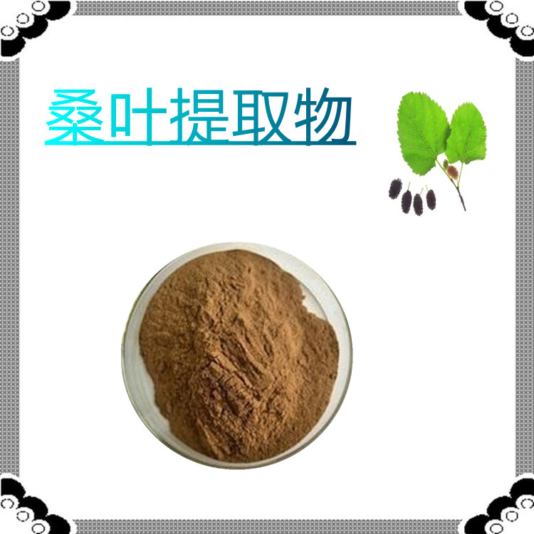 桑叶提取物  过筛120目  固体饮料    质量稳定   粉末细腻   比例产品