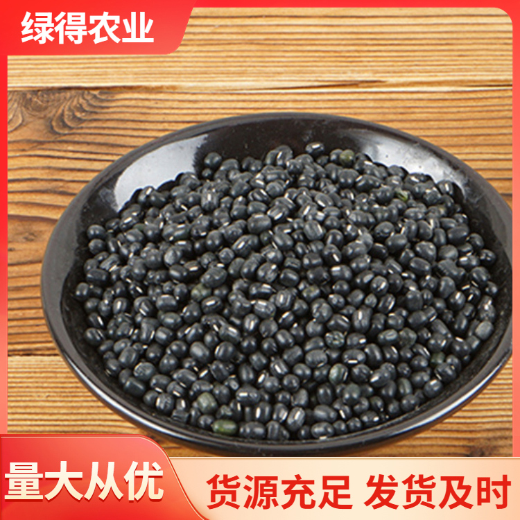 黑绿豆种子价格