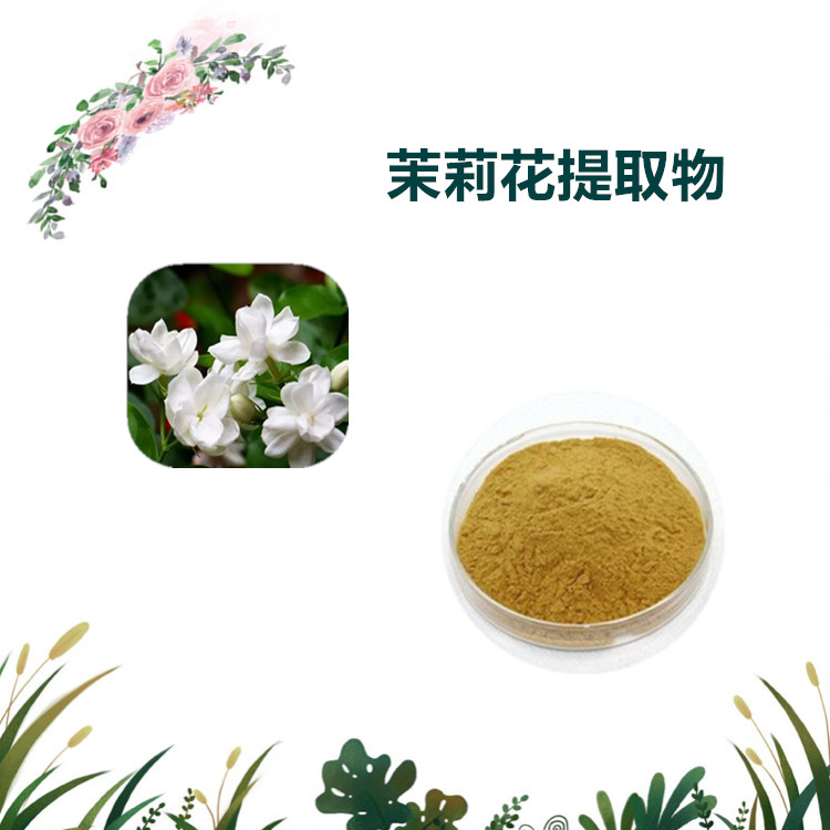 沃特莱斯生物 茉莉花提取物 茉莉花根提取物 厂家直供 现货