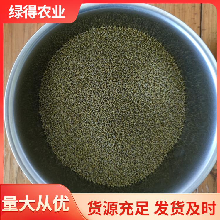 绿小米 月子宝宝粥新鲜小米杂粮