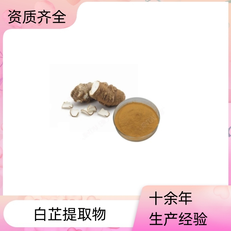 白芷提取物  提取液 浓缩粉 浸膏 沃特莱斯 包邮