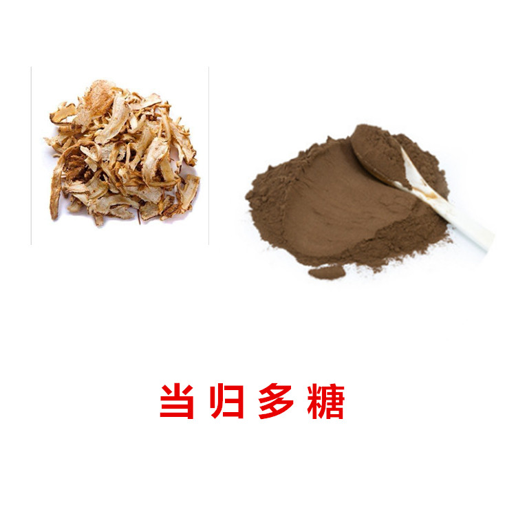 当归多糖 当归粉 基地种植原料 健康安全原料 斯诺特生物