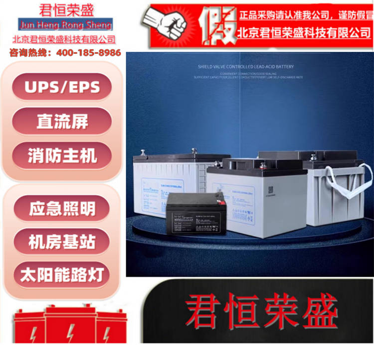 理士蓄电池 UPS直流屏电源外接免维护铅酸电池