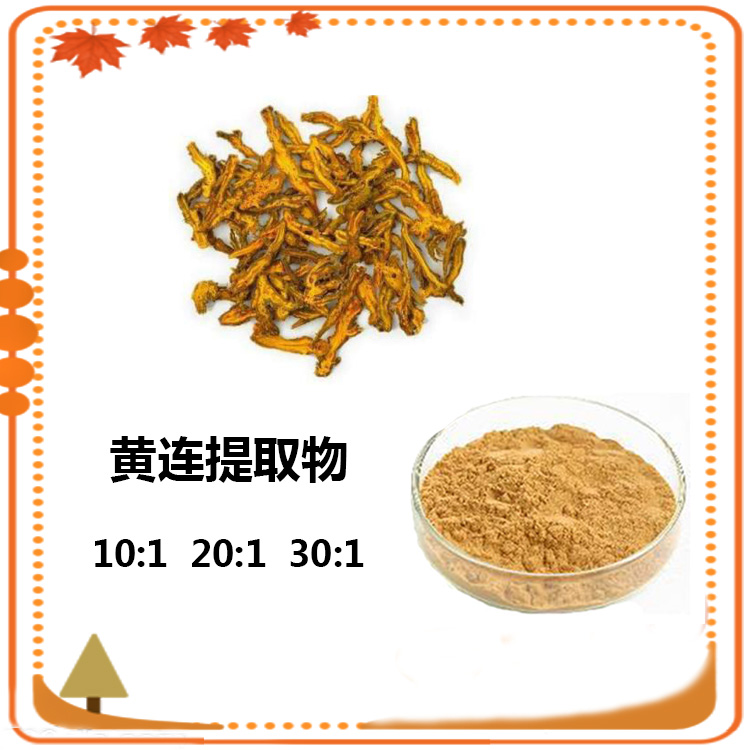 黄连提取物 10:1 水提 黄连素 盐酸小檗碱 多规格