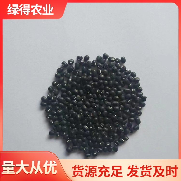 黑绿豆品种齐全